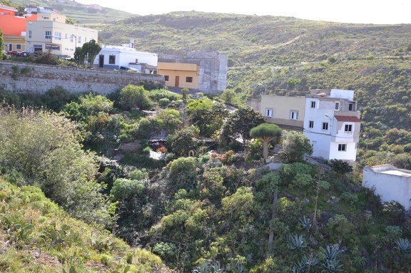 DSC 7545