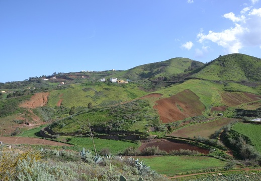 DSC 7562