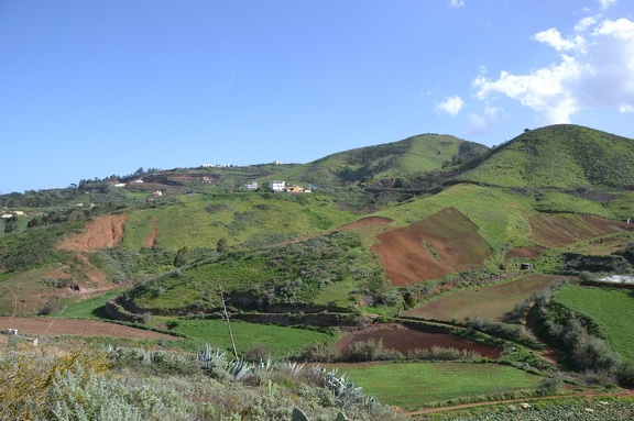 DSC 7562