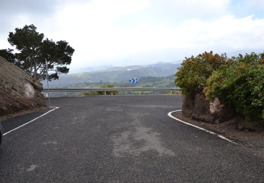 DSC 5931