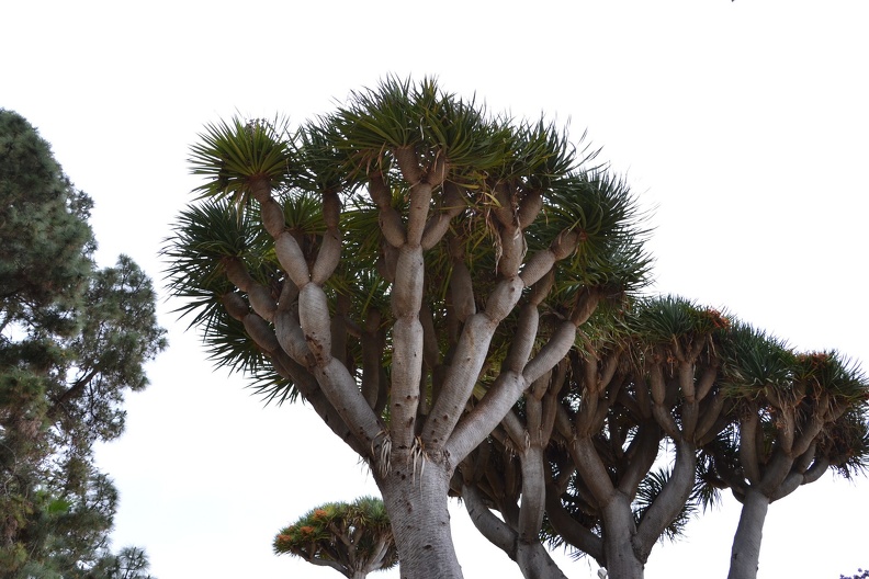 DSC_6174.JPG