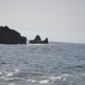 DSC 8621