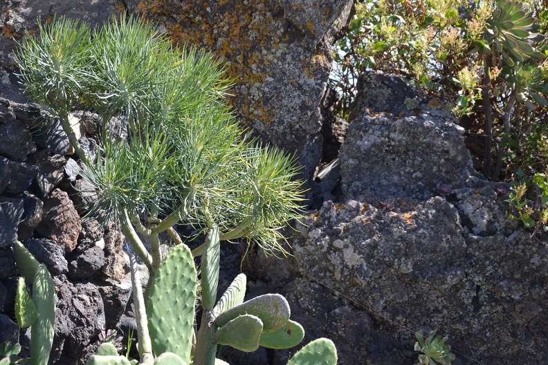 DSC_8936.JPG