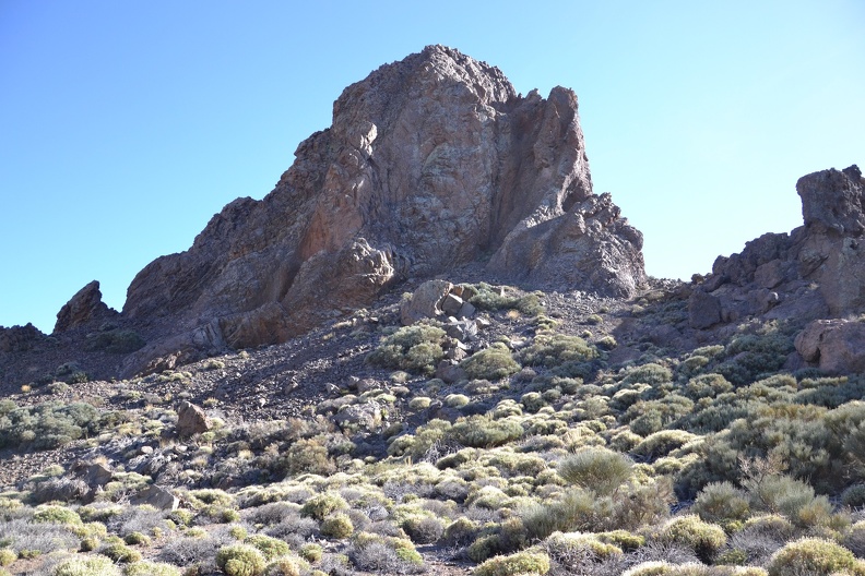 DSC_9221.JPG
