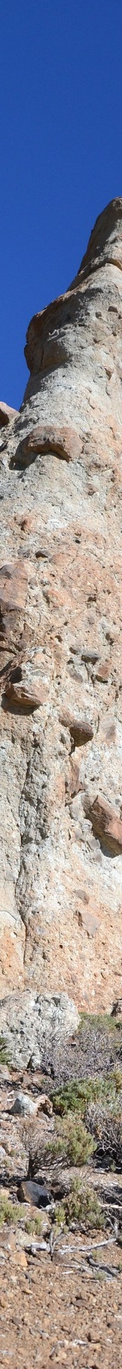 DSC 9251