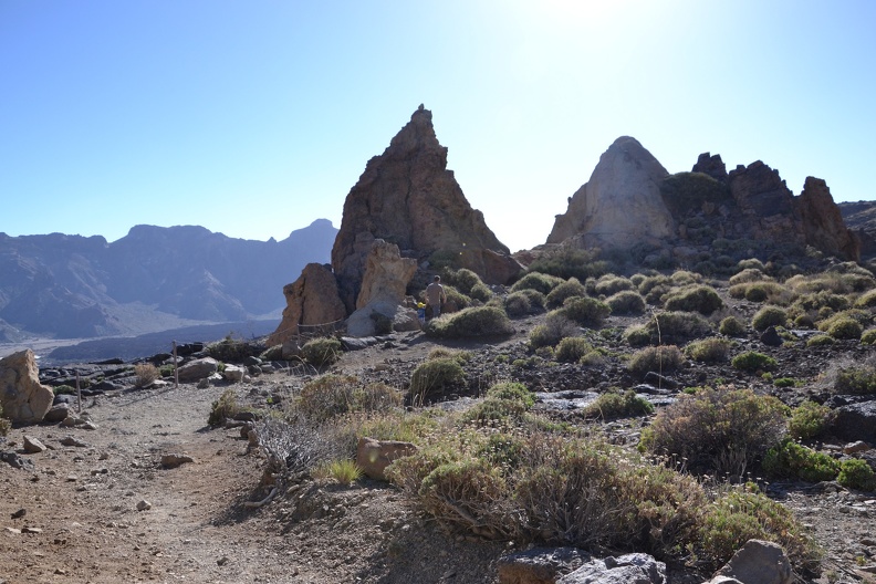 DSC_9254.JPG