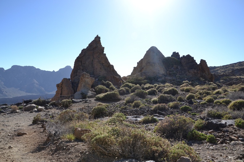 DSC_9259.JPG