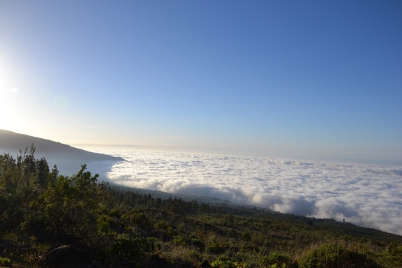 DSC 9394