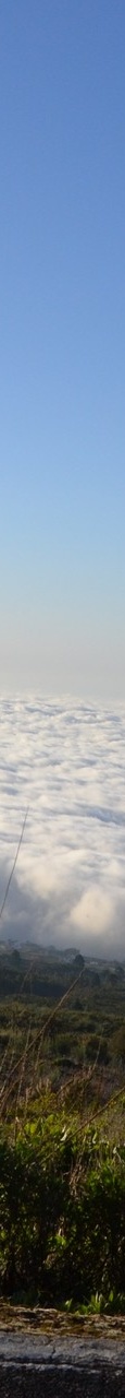 DSC 9401