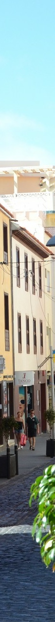 DSC 7216