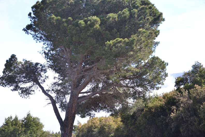 DSC_7321.JPG