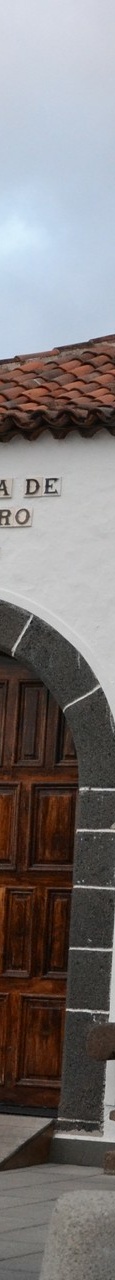 DSC 7344