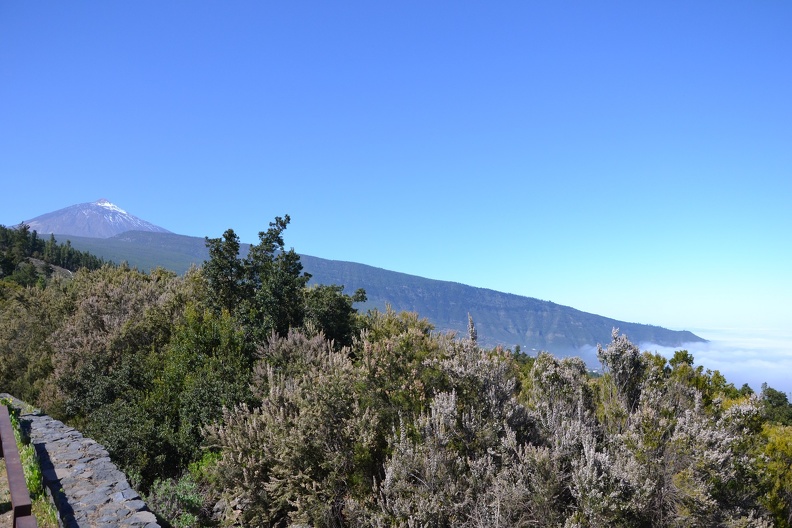 DSC_7416.JPG
