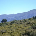 DSC 7474