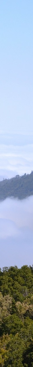 DSC 7475