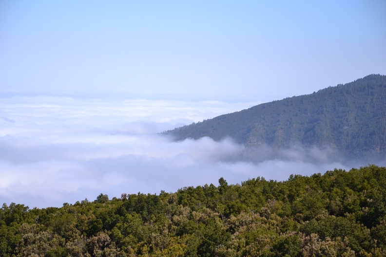 DSC_7475.JPG