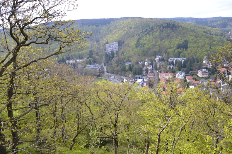 DSC_9873.JPG