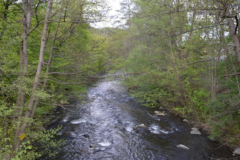 DSC_9933.JPG