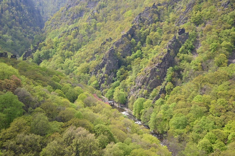 DSC_9972.JPG