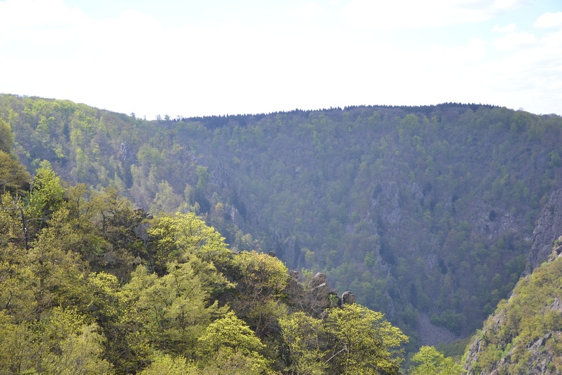 DSC_9987.JPG