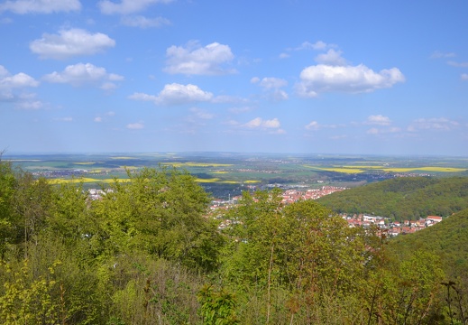 DSC 0170