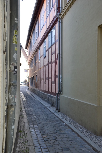 DSC_0208.JPG