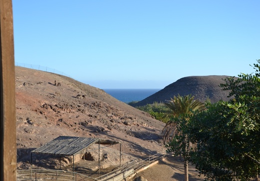 DSC 1716