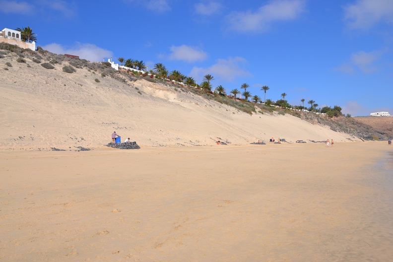 DSC_1984.JPG