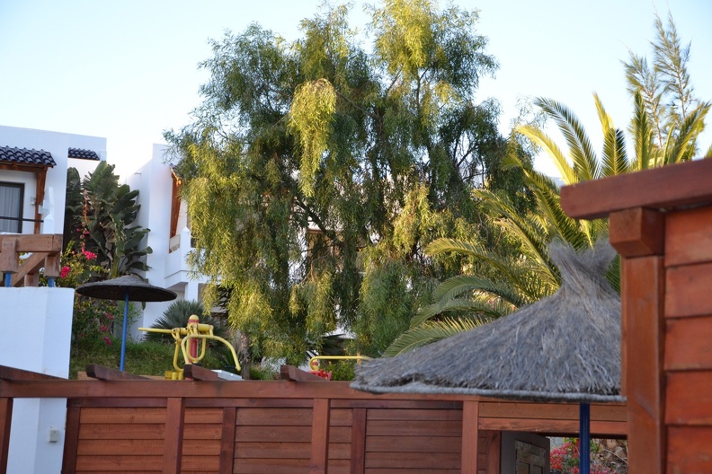 DSC_2245.JPG