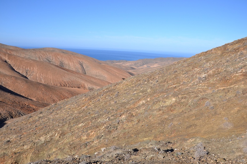 DSC_2321.JPG