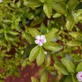 DSC_7119.JPG