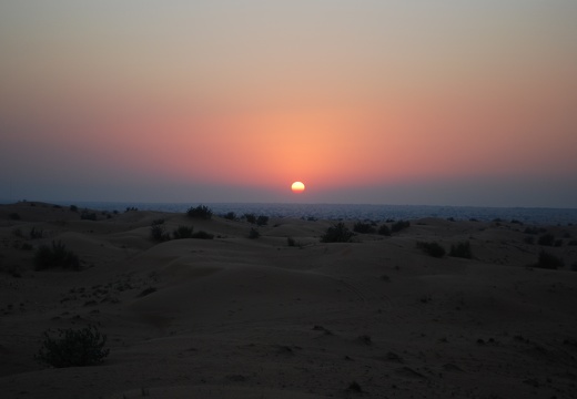 DSC 5928.Wüstensafari Sonnenuntergang