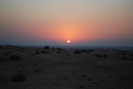 DSC 5928.Wüstensafari Sonnenuntergang