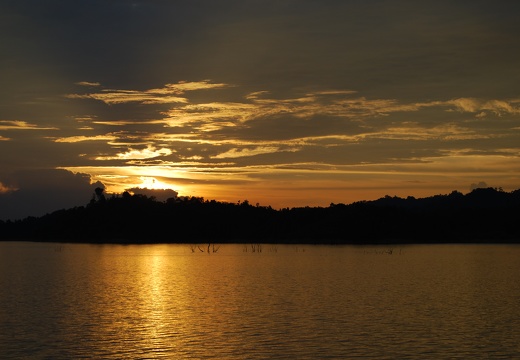 Sonnenuntergang Urwald Borneo