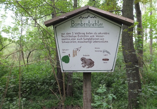 2015 Wandern Taucha und Parthe