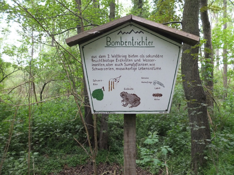 DSCF7094.JPG