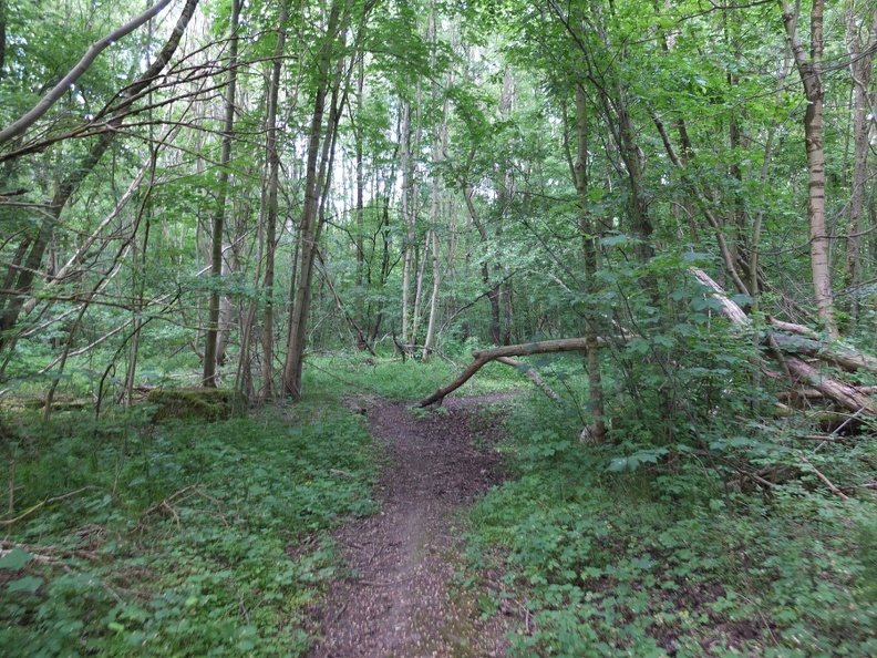 DSCF7082.JPG