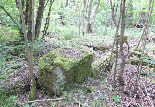 DSCF7083