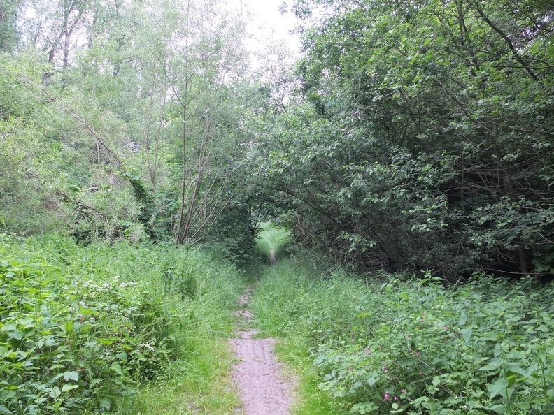 DSCF7089.JPG