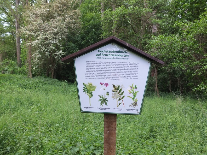 DSCF7091.JPG
