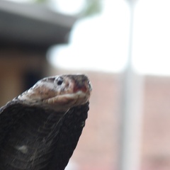 Bali 2008 218