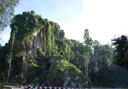 DSC 4627