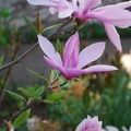 DSC_6689.JPG