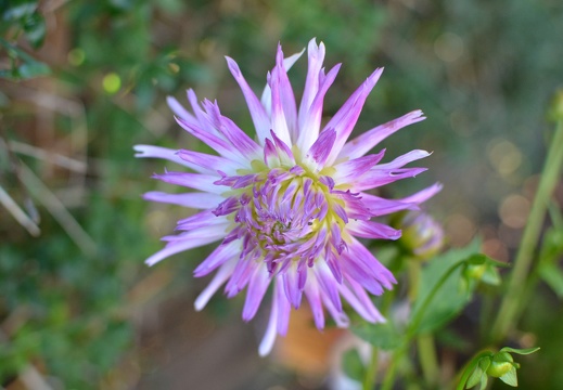 DSC 8590