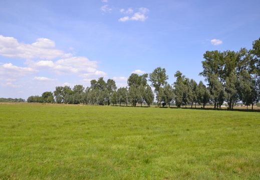 DSC 1490