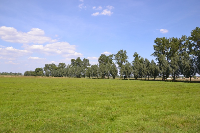DSC_1490.JPG