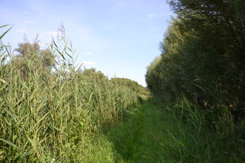 DSC_1499.JPG