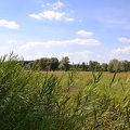 DSC 1500
