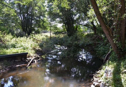 DSC 1506