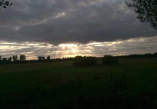 IMAG0005